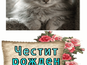 Честит Рожден Ден