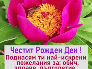 Честит Рожден Ден