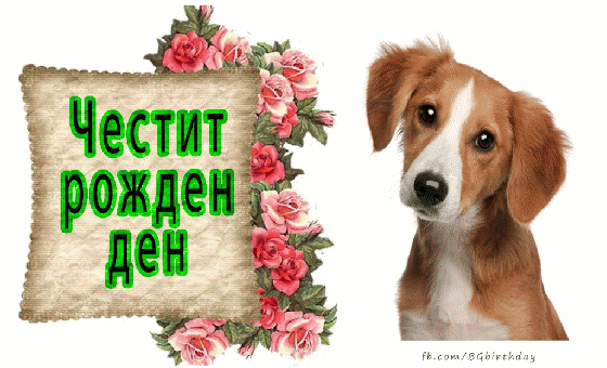Честит Рожден Ден