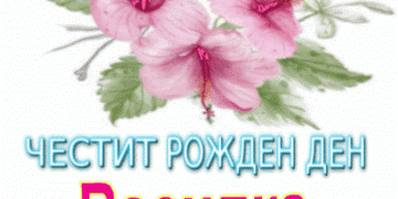 Честит рожден ден Василка
